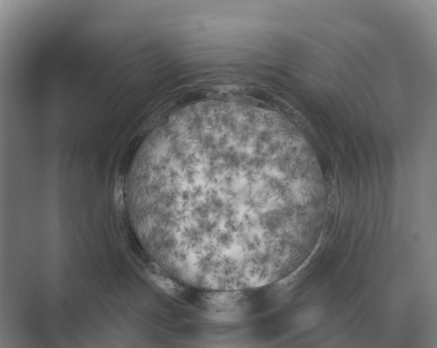 X0000071960191200608041629