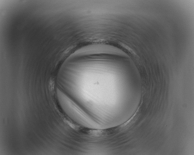 X0000071960192200608041629