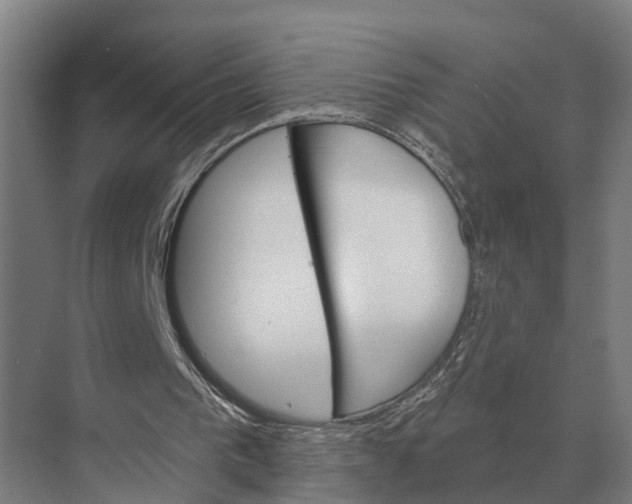 X0000071960193200608041628