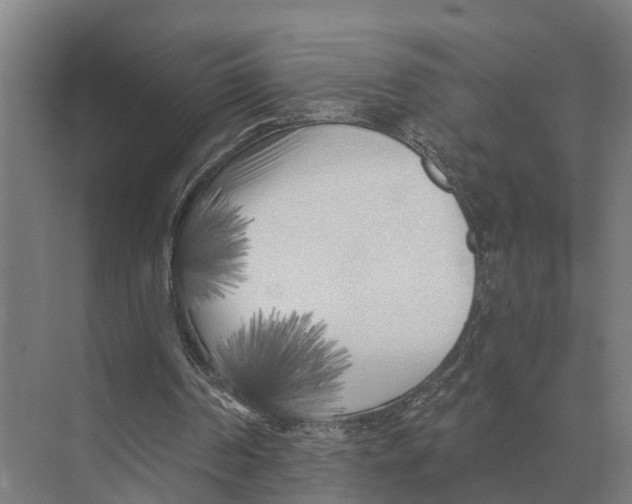 X0000071960194200608041628