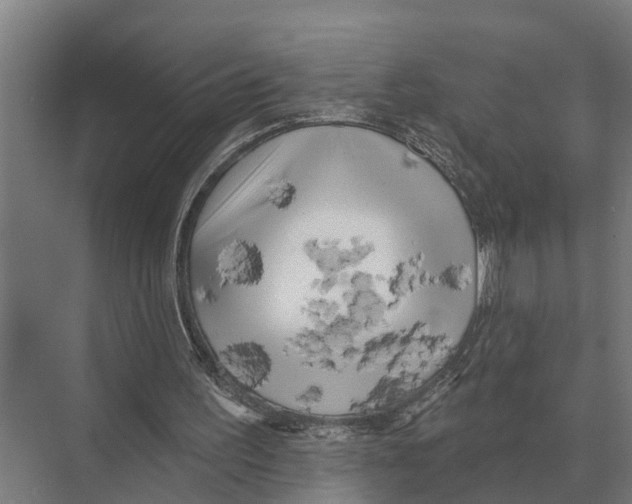 X0000071960195200608041628