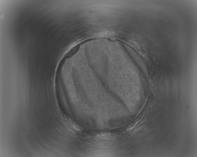 X0000071960196200608041628