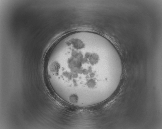 X0000071960199200608041628