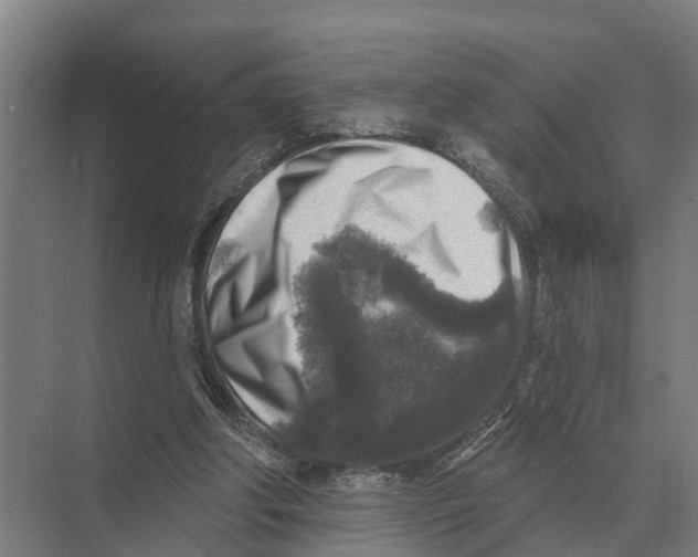 X0000071960202200608041628