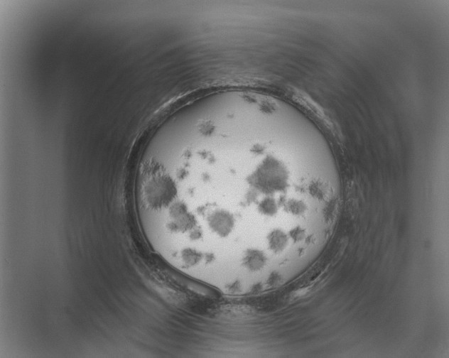 X0000071960203200608041628