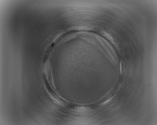 X0000071960205200608041628