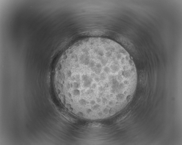 X0000071960206200608041628