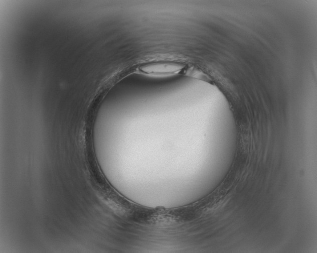 X0000071960207200608041628