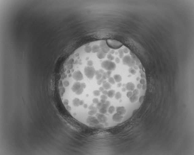 X0000071960210200608041628