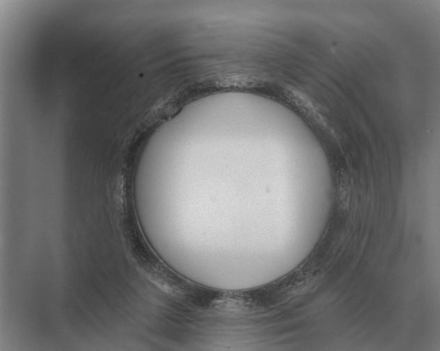 X0000071960211200608041628