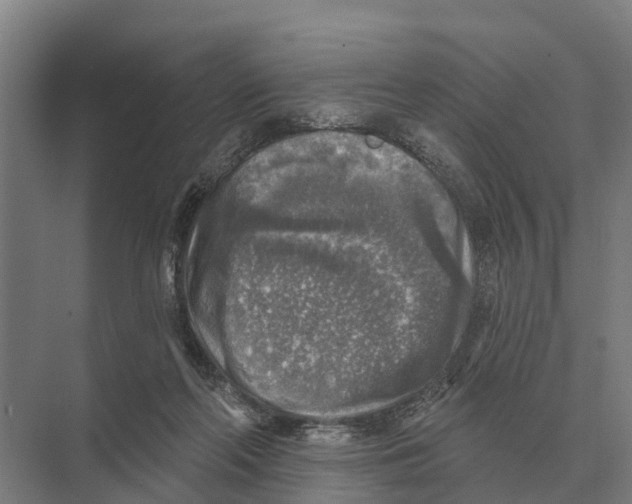 X0000071960214200608041628