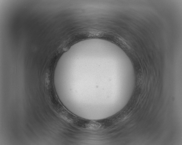 X0000071960215200608041628