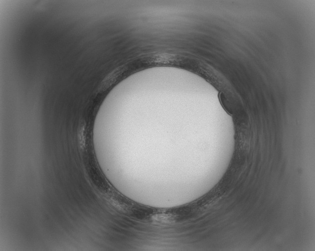 X0000071960216200608041628