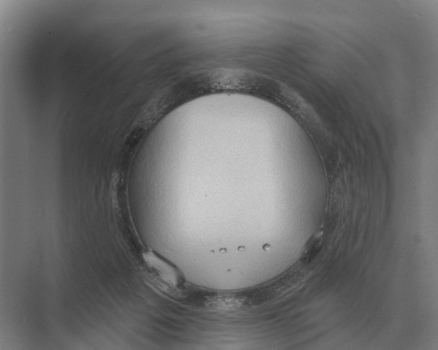 X0000071960217200608041628