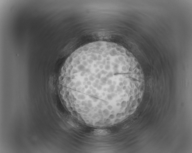 X0000071960218200608041627