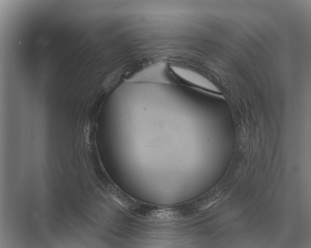 X0000071960219200608041627