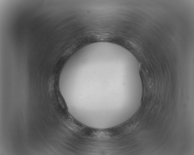 X0000071960221200608041627