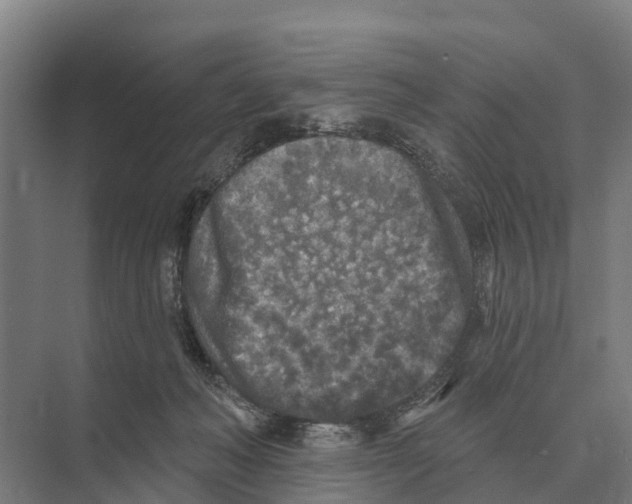 X0000071960222200608041627