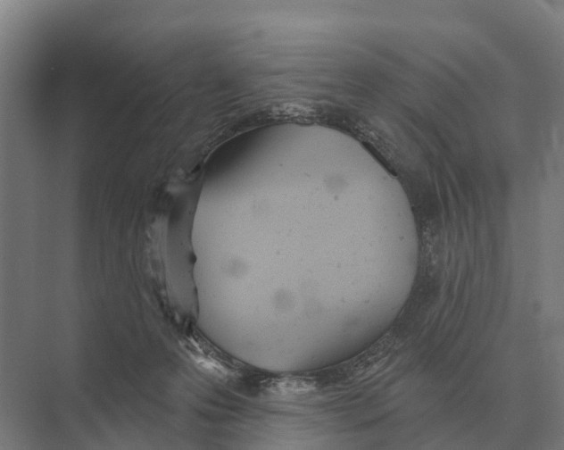 X0000071960223200608041627