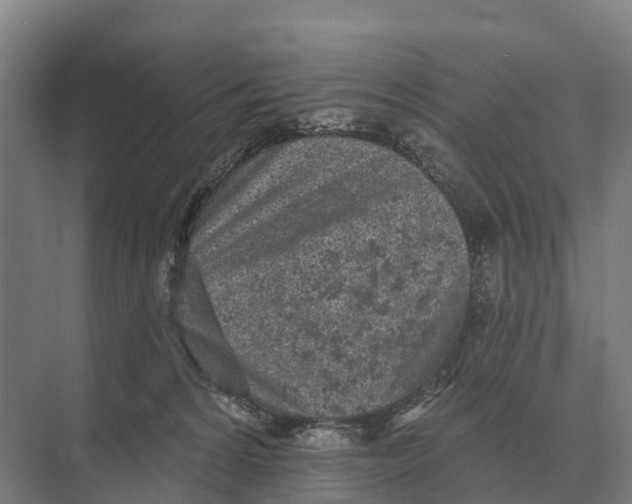 X0000071960224200608041627