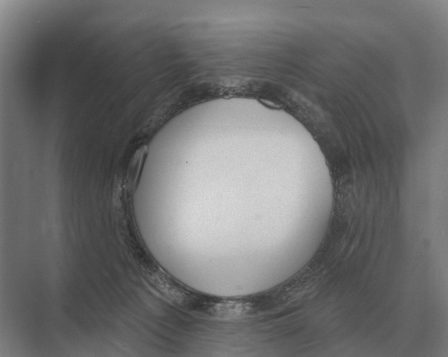 X0000071960225200608041627