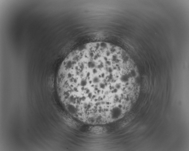 X0000071960230200608041627