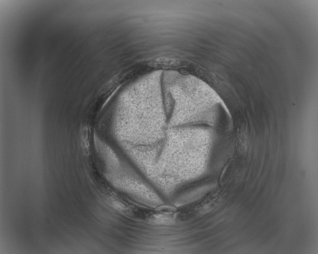 X0000071960232200608041627