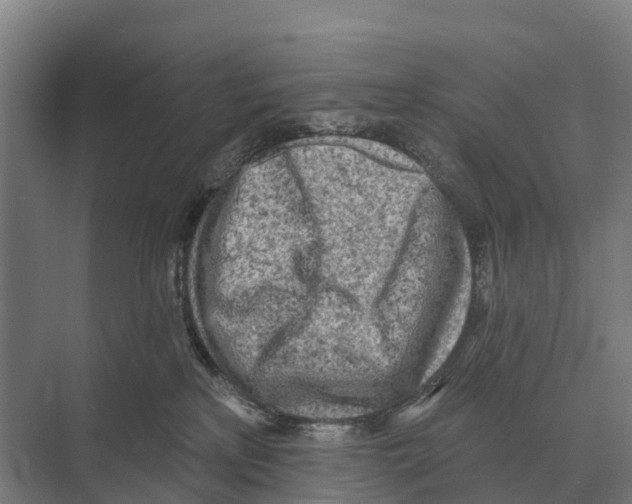 X0000071960233200608041627