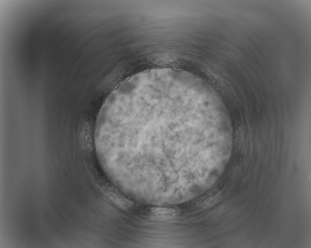 X0000071960234200608041627