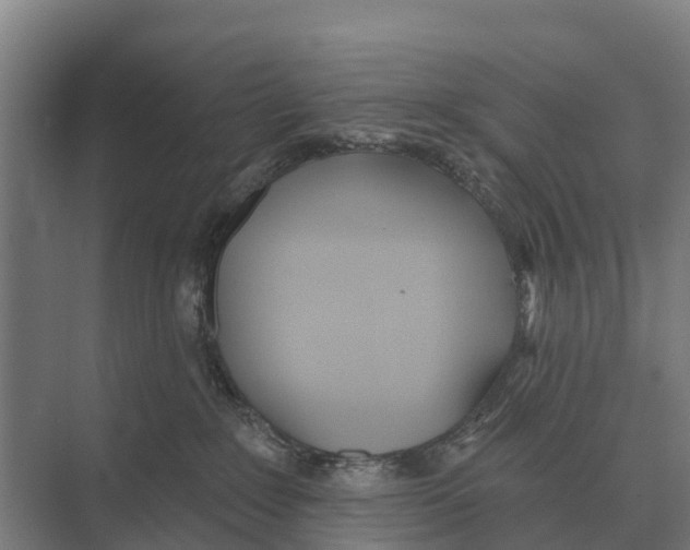 X0000071960235200608041627