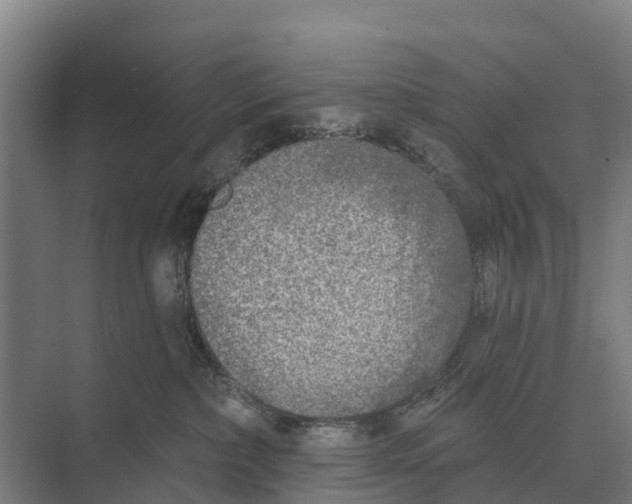 X0000071960236200608041627