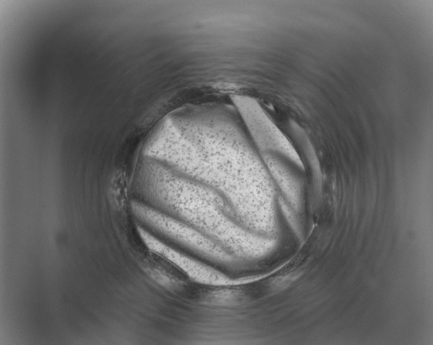 X0000071960237200608041627