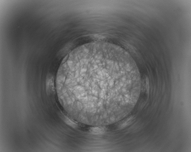 X0000071960238200608041627