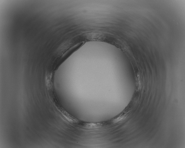 X0000071960239200608041627