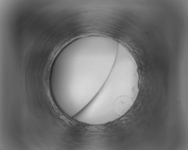 X0000071960241200608041626