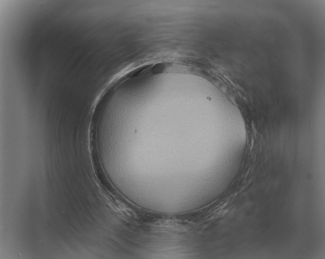 X0000071960244200608041626