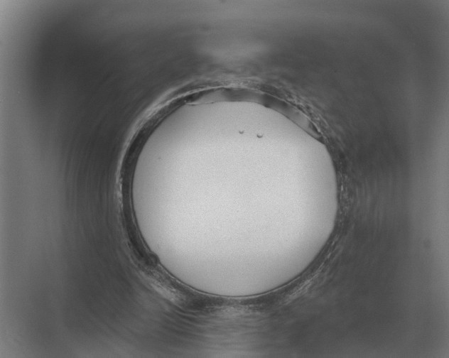 X0000071960246200608041626