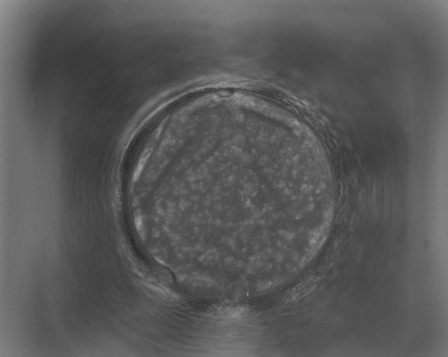 X0000071960247200608041626