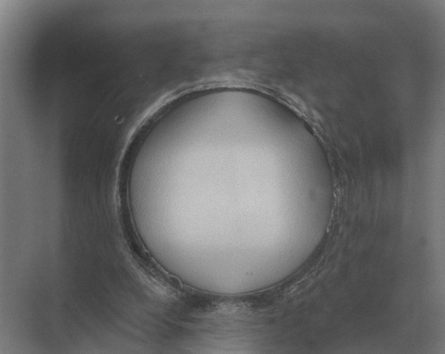 X0000071960248200608041626