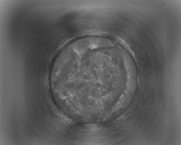 X0000071960249200608041626