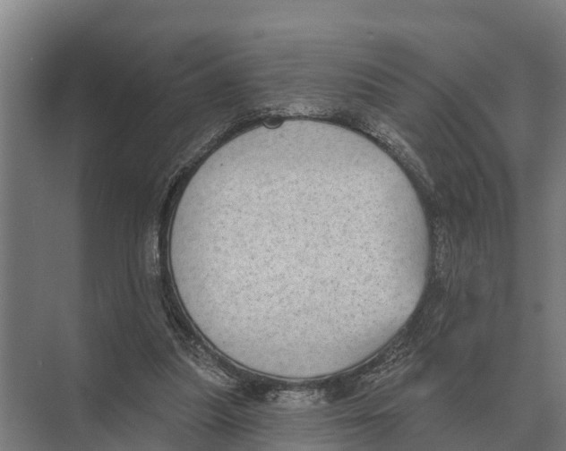 X0000071960251200608041626