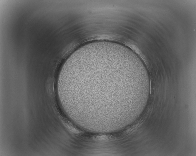 X0000071960253200608041627