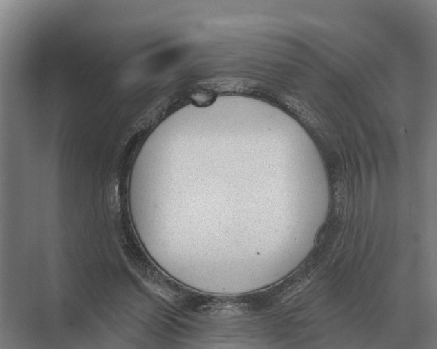 X0000071960254200608041627