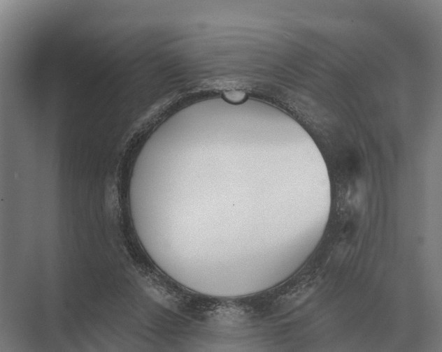 X0000071960256200608041627