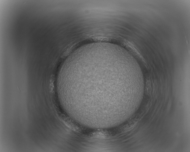 X0000071960259200608041627