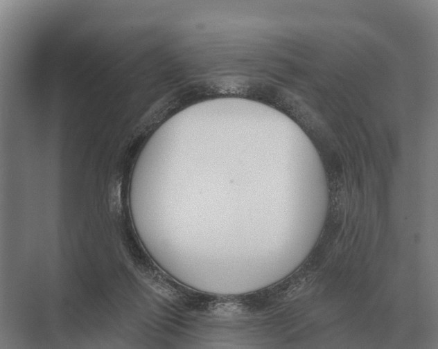 X0000071960262200608041627