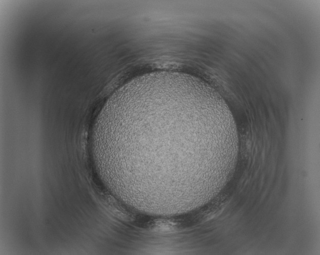 X0000071960263200608041627