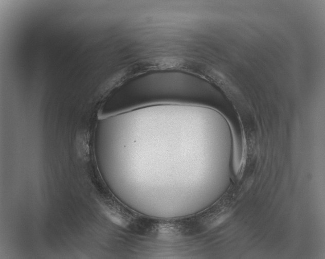 X0000071960264200608041627