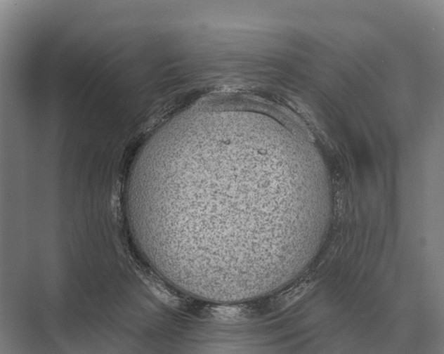 X0000071960265200608041627