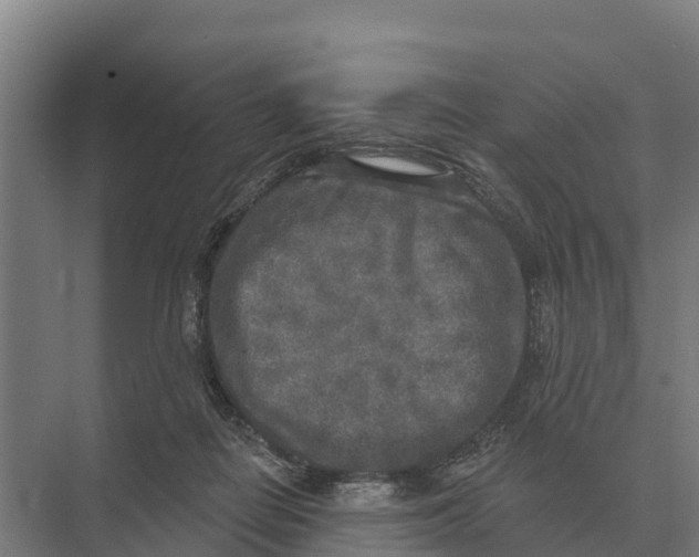 X0000071960266200608041627